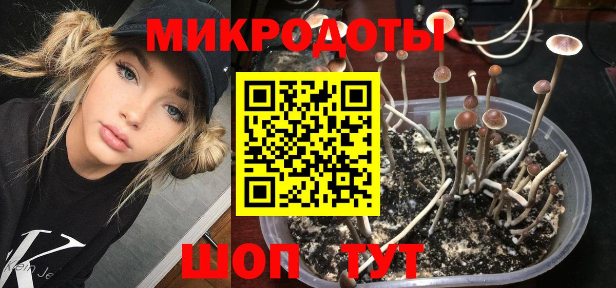 Псилоцибиновые грибы GOLDEN TEACHER Верхняя Салда