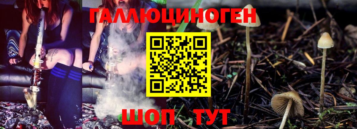 Псилоцибиновые грибы Psilocybine cubensis  Вход с VPN  даркнет сайт  Верхняя Салда 
